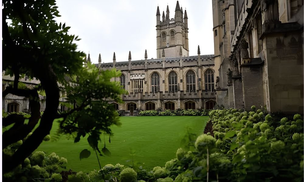 study-abroad-consultants